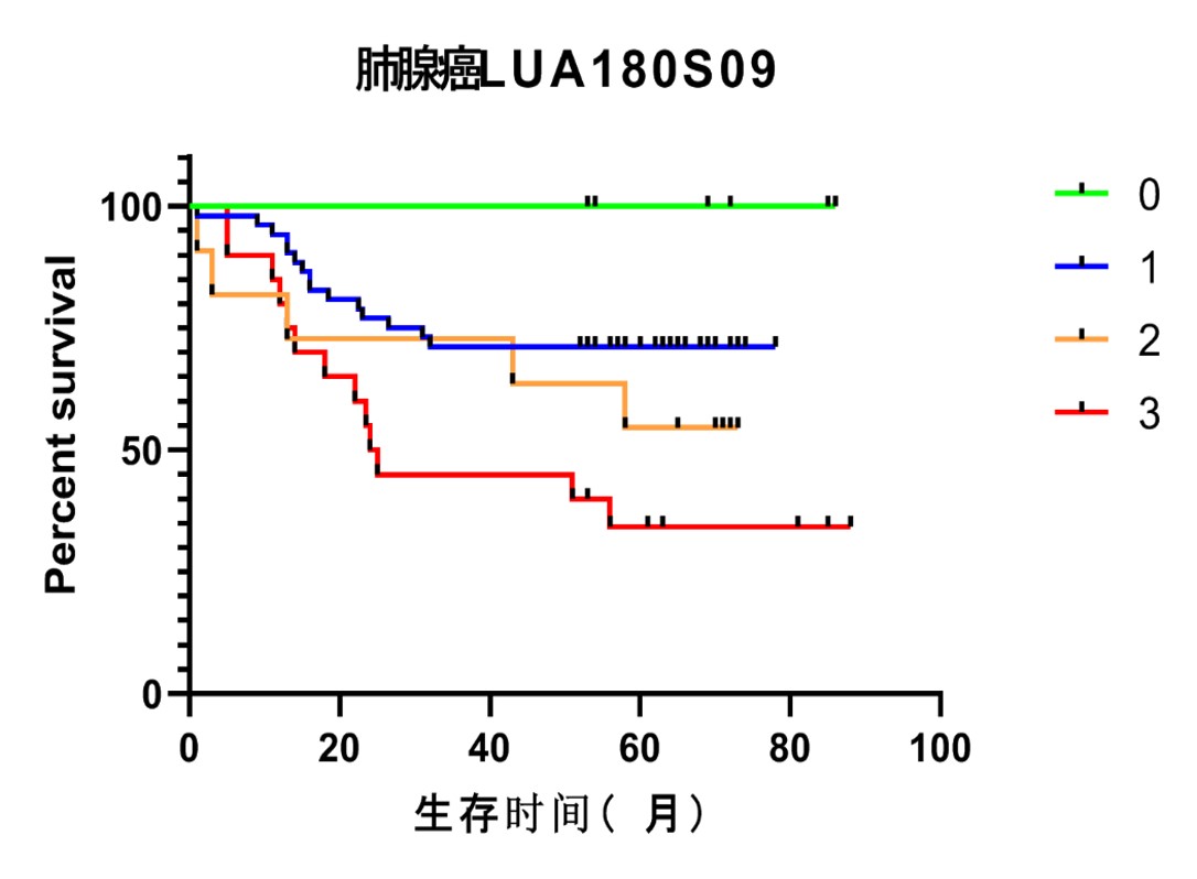 圖片7.jpg